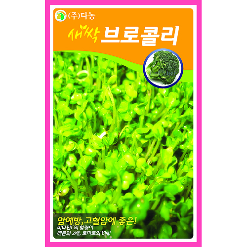 새싹브로콜리씨앗 1kg/새싹채소씨앗