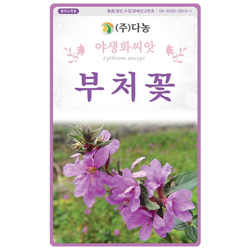 부처꽃 씨앗 -1kg/야생화꽃씨앗