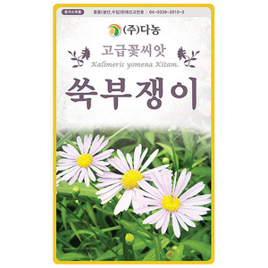 쑥부쟁이꽃씨앗-1kg/야생화꽃씨앗