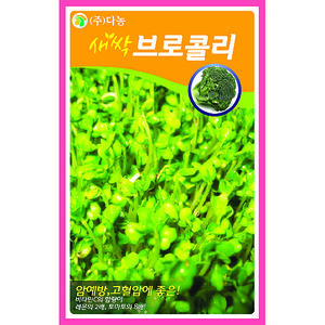 새싹브로콜리씨앗 1kg/새싹채소씨앗