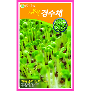 새싹경수채씨앗-12g(약20ml)/새싹채소씨앗