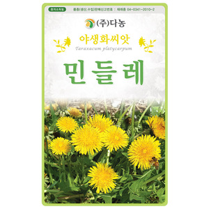 민들레씨앗 1kg/야생화꽃씨앗