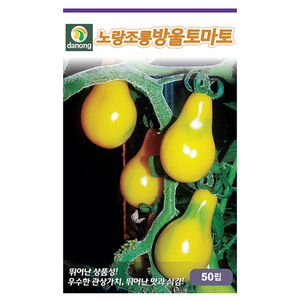 노랑조롱방울토마토 50립/1000립 - 과중20g