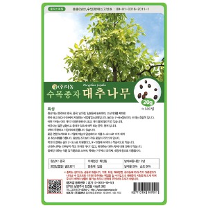 대추나무씨앗 20g;400g;1kg-산조인씨앗/수목씨앗/조경씨앗/과수씨앗