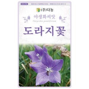 도라지꽃씨앗 3g(약5ml)/야생화꽃씨앗