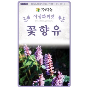 꽃향유씨앗- 2000립(약3ml)/야생화꽃씨앗