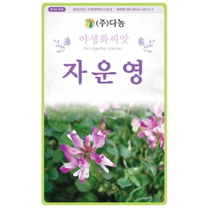 자운영꽃 씨앗 - 1kg /야생화꽃씨앗