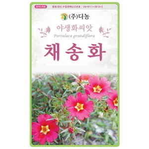 채송화씨앗 -1kg /야생화꽃씨앗