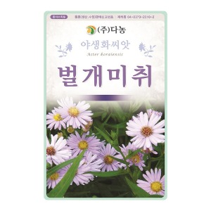 벌개미취씨앗-1kg/야생화꽃씨앗
