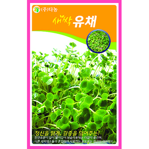 새싹유채씨앗 1kg/새싹채소씨앗