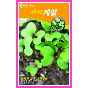새싹케일씨앗-12g(약20ml)/새싹채소씨앗