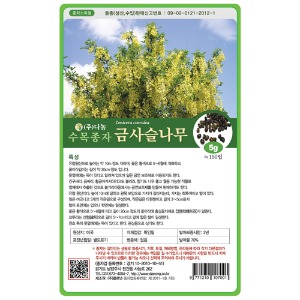 금사슬나무씨앗5g;30g;500g;1kg-수목씨앗/조경