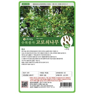 고로쇠나무씨앗(단풍)  15g;500g;1kg-수목씨앗/조경