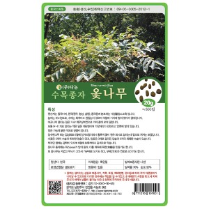 옻나무 씨앗 20g;600g;1kg-수목씨앗/조경