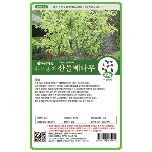 산돌배나무씨앗 20g;500g;1kg-수목씨앗/조경