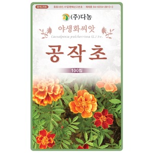 공작초씨앗 - 100립(약5ml)/야생화꽃씨앗