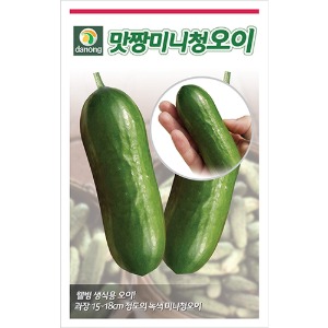 디저트로 간식으로 맛짱미니청오이 씨앗 - 10립/200립