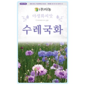 수레국화씨앗- 1kg /야생화꽃씨앗