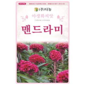 맨드라미씨앗 1kg/야생화꽃씨앗