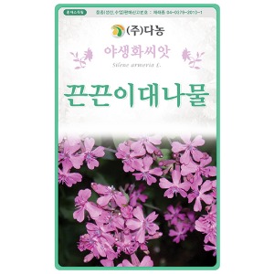 끈끈이대나물꽃씨앗 1g(약2ml)/야생화꽃씨앗