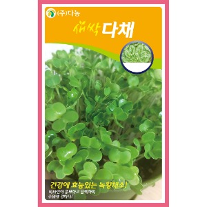 새싹다채(비타민채) 씨앗 1kg/새싹채소씨앗