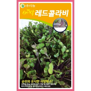 새싹레드콜라비 씨앗 12g(20ml)/새싹채소씨앗