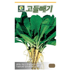 고들빼기 씨앗-고들빼기 김치용 등 전통민속씨앗 1g;200g