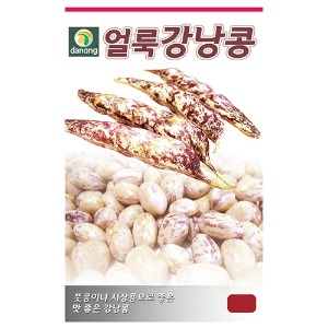 얼룩강낭콩씨앗(왜성) 30g;600g