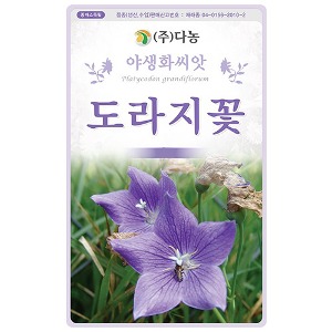 도라지꽃씨앗 500g/야생화꽃씨앗