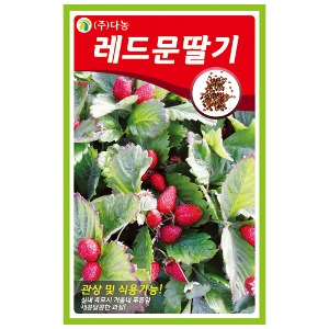 레드문딸기씨앗 100립-집/텃밭에서 직접파종해서 키우는 식용관상용고급 빨간 딸기