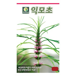 귀한 산야초 익모초씨앗 1g(약2.5ml)