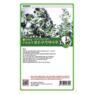 검은구기자나무씨앗-1.5g/10g/500g/1kg