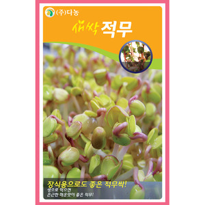 새싹적무씨앗 12g(약20ml)/새싹채소씨앗